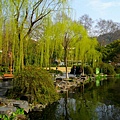 2011.03.24-0708.JPG