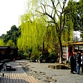 2011.03.24-0709.JPG