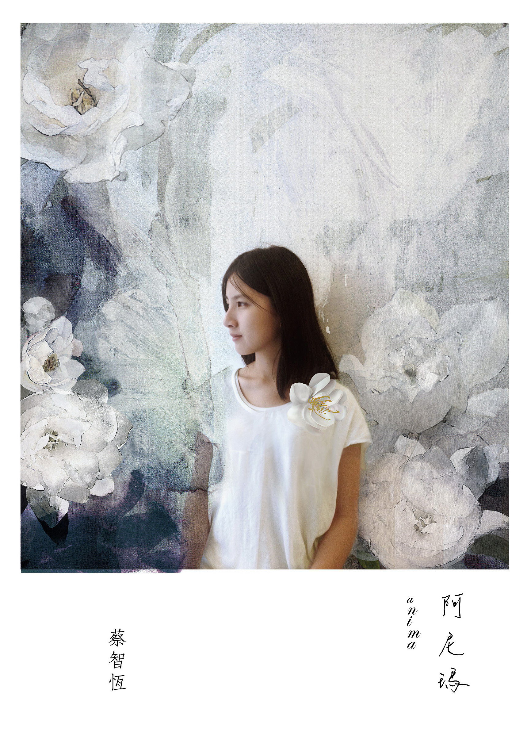 阿尼瑪.jpg 阿尼瑪.jpg