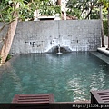 IMG_8767.JPG
