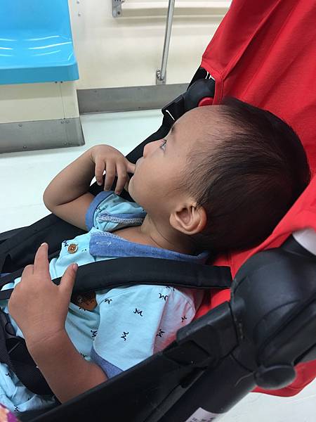 IMG_6558.JPG IMG_6558.JPG