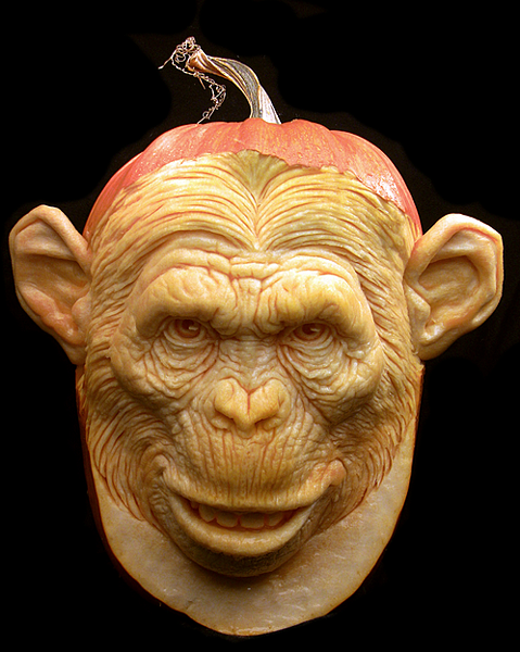 rayvillafane5.png
