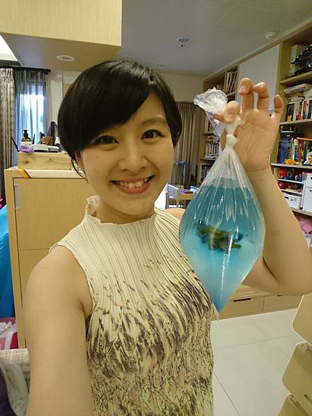 DSC_4804.JPG DSC_4804.JPG