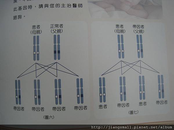 病患基因型-2