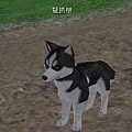 mabinogi_2009_09_19_009.jpg