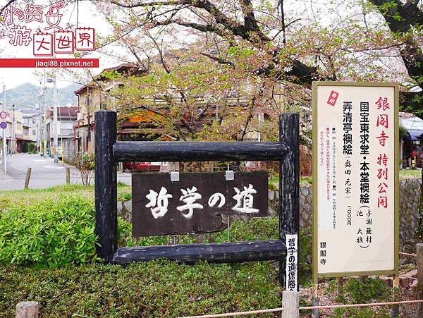 日本16春 京都赏桜 哲学之道漫游 跟着文人脚步走让脑子放空吧 小资女游大世界 痞客邦