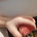 IMG_20130103_154913