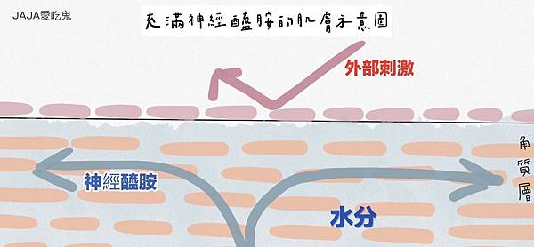 LINE_ALBUM_TUNEMAKERS神經醯胺保濕系列_220117_0_0.jpg