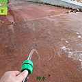 小學斜坡走道色粉水磨石地面止滑防滑施工工程-相片 (13).JPG