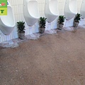 Park - male and female toilets - terrazzo - Quartz tiles - non slip treatment (9).JPG