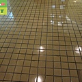 Park - male and female toilets - terrazzo - Quartz tiles - non slip treatment (45).JPG