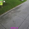 Granite -Plastic plastic strip floor (43).JPG