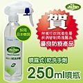 噴霧式乾洗手劑-250ML.jpg
