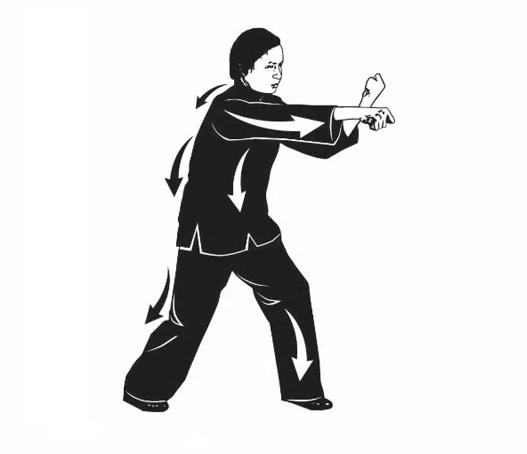 Pak Mei fist -1 Pak Mei fist -1