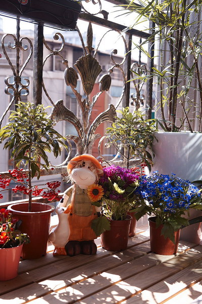 7 陽台花園,覲得,游淑慧.jpg 7 陽台花園,覲得,游淑慧.jpg