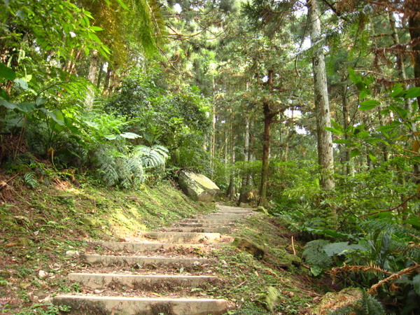 自導式步道