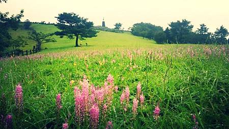 20140828twi6막찍어도 그림이구나..