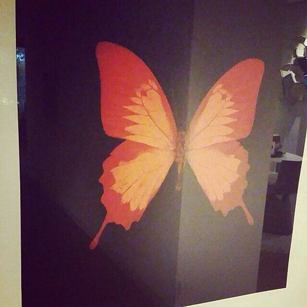 20141017ins7#butterfly.jpg