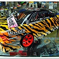 照片 092.jpg