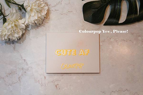 IMG_6290.jpg IMG_6290.jpg