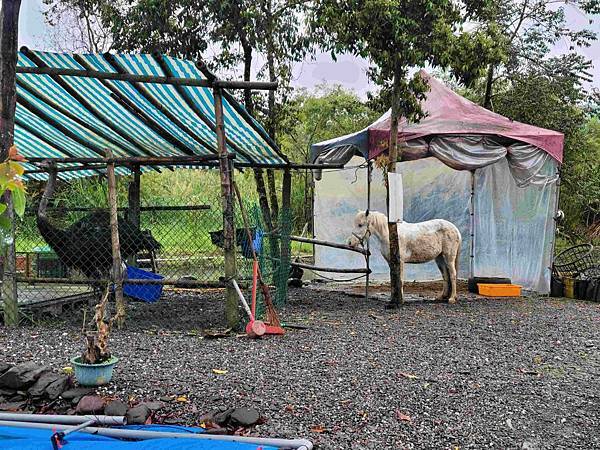 ※宜蘭大同鄉※ 平價露營車 地熱旅居民宿 諾美締露營車 火山