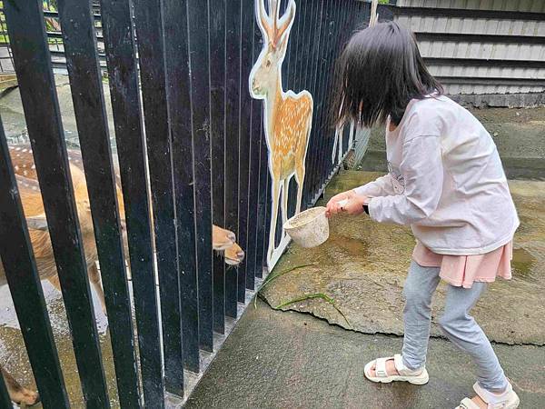 ※ 宜蘭縣冬山鄉 ※ 心心農家樂 不另外收費動物隨你餵 親近