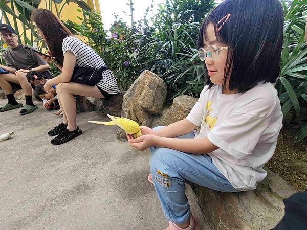 ※宜蘭縣礁溪鄉※ 回巢農場 乾淨好玩 餵小羊/卡皮巴拉/鸚鵡