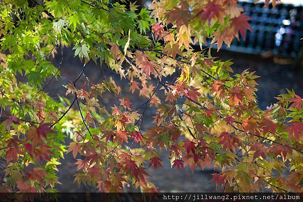 福壽山-02020111203