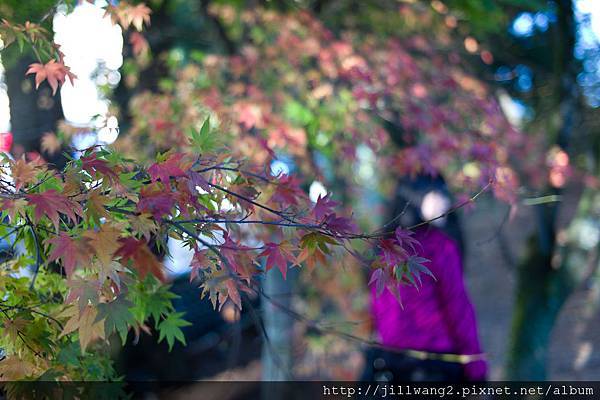 福壽山-02120111203 - 複製