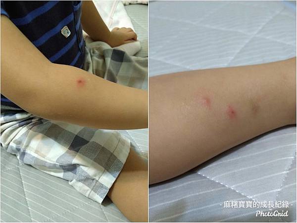 布瓦宏-5.jpg 布瓦宏-5.jpg