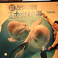 2010-0416 海遊館 (11).JPG