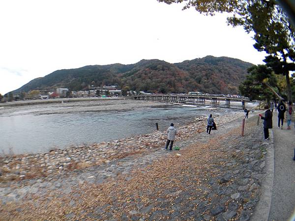 IMG_20171120_113454_調整大小.jpg