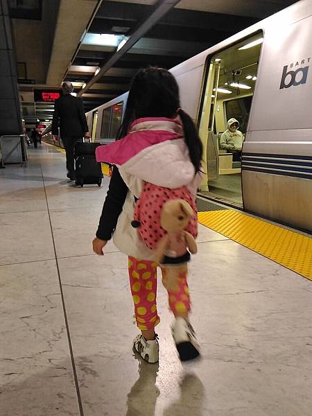 P_20160405_111337.jpg P_20160405_111337.jpg