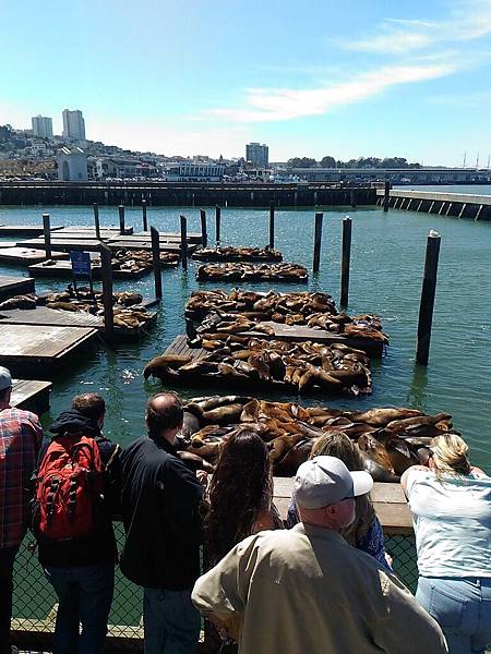 P_20160405_142826.jpg P_20160405_142826.jpg