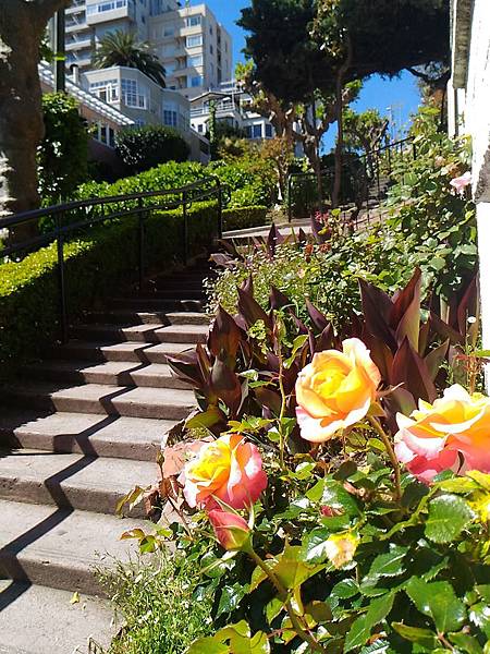 P_20160406_115929.jpg P_20160406_115929.jpg