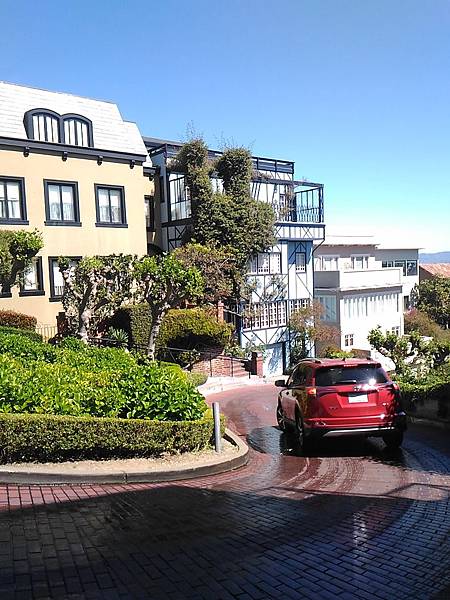 P_20160406_115126.jpg P_20160406_115126.jpg