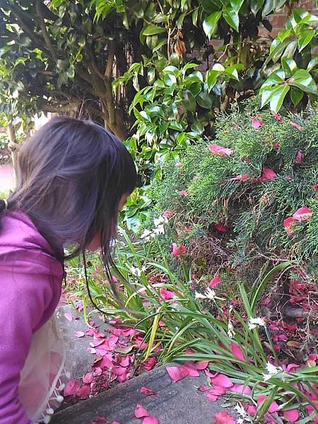 P_20160406_115210.jpg P_20160406_115210.jpg