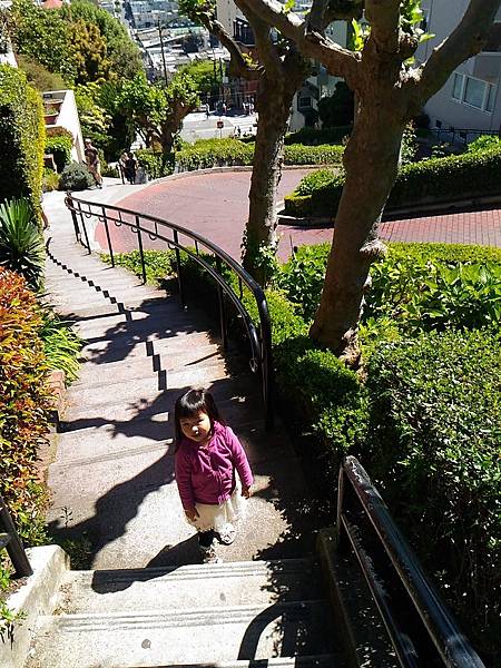 P_20160406_120243.jpg P_20160406_120243.jpg