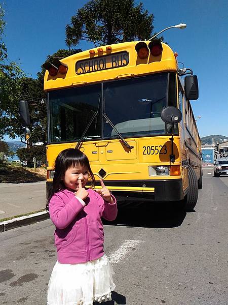 P_20160406_121956.jpg P_20160406_121956.jpg