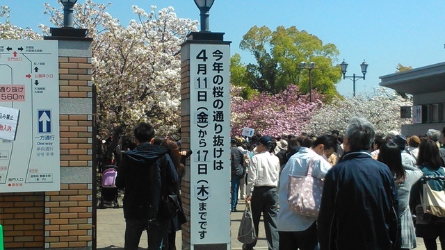 2014京阪神奈賞櫻六日行-Day 6 大阪造幣局（上）