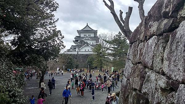 DSC_4802.JPG DSC_4802.JPG