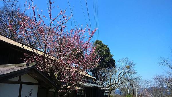 DSC_5173.JPG DSC_5173.JPG