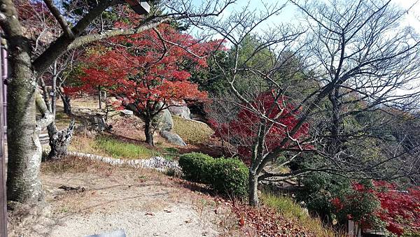 2018 深秋近畿中國大緃走 Day3 尾道千光寺