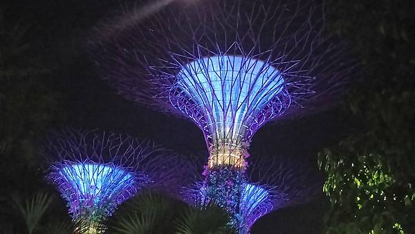 2018 新加坡 濱海灣花園