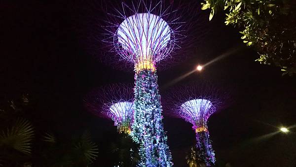 2018 新加坡 濱海灣花園