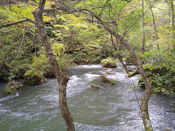 2022 日本東北初體驗 奧入瀨溪