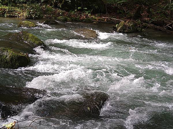 2022 日本東北初體驗 十和田湖