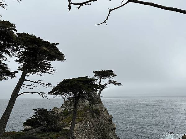 新旅程的開始-舊金山  蒙特利＆卡梅爾小鎮(下)