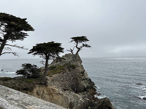 新旅程的開始-舊金山  蒙特利＆卡梅爾小鎮(下)