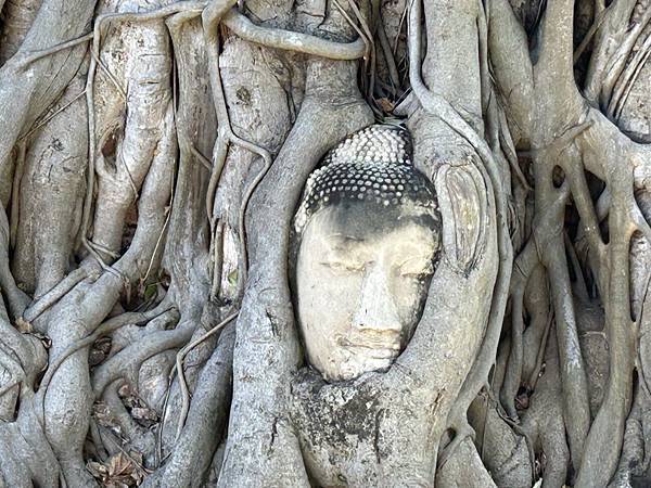 2023 曼谷Pattaya跨年行 瑪哈泰寺&柴瓦塔那蘭寺